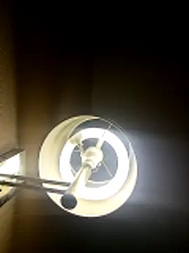 Snapshot of inked_rayray chatting on April 2026 07:52:01 AM inked rayray online show from April 2026 07:52:01 AM