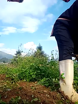 nui-show online show from November 2025 01:44:01 AM