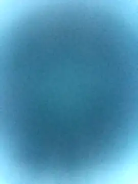 tabby-cat11 online show from February 2026 02:46:01 PM