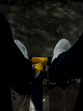 roludao fun online show from December 2025 10:17:02 PM