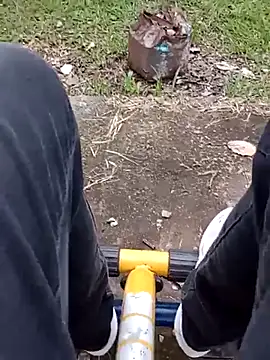 roludao fun online show from February 2026 09:19:02 PM