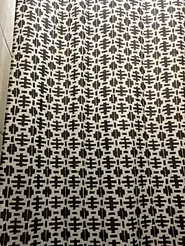 solodrive online show from November 2025 11:31:02 AM