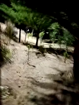 Labellasex online show from December 2025 04:40:01 AM