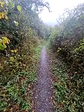 bbyxklaus online show from October 2025 11:43:01 AM