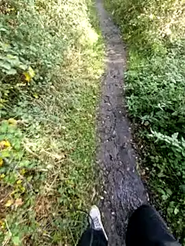 bbyxklaus online show from November 2025 12:18:01 PM