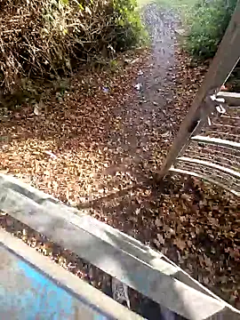 bbyxklaus online show from November 2025 10:26:02 AM