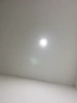 violeta365 online show from March 2026 12:44:02 PM