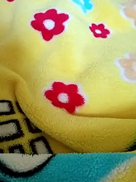 Snapshot of SandyAmr chatting on February 2026 07:40:01 AM SandyAmr online show from February 2026 07:40:01 AM