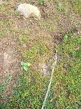 kumarstelugu online show from January 2026 02:59:01 AM