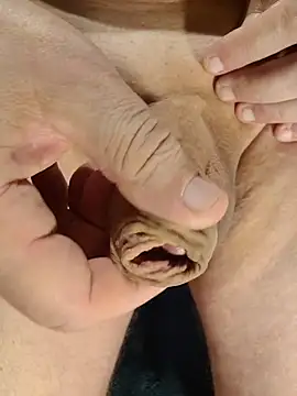 Benjin 2306 online show from November 2025 02:26:01 PM