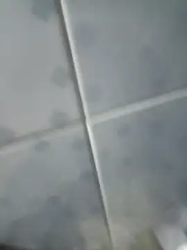 INTIMACY123 online show from November 2025 02:57:01 AM