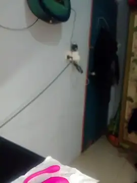 Nex live online show from May 2026 12:56:01 PM