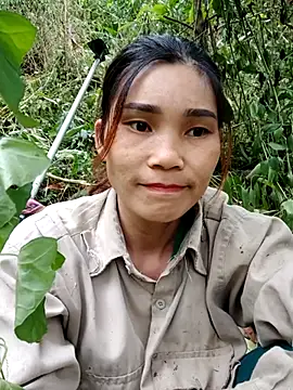 Bear bear0 online show from November 2025 07:31:01 AM