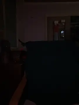 Snapshot of Macduckd chatting on February 2026 06:53:02 AM Macduckd online show from February 2026 06:53:02 AM