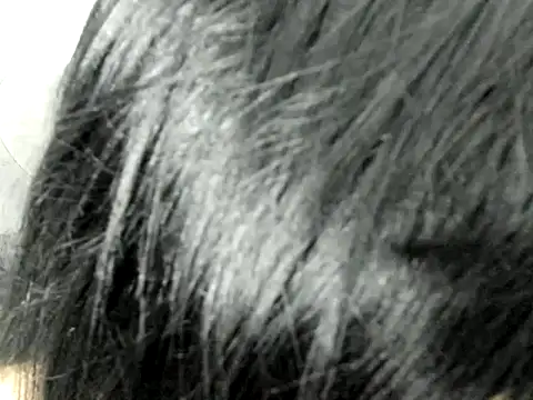 Amminna online show from November 2025 12:35:02 AM