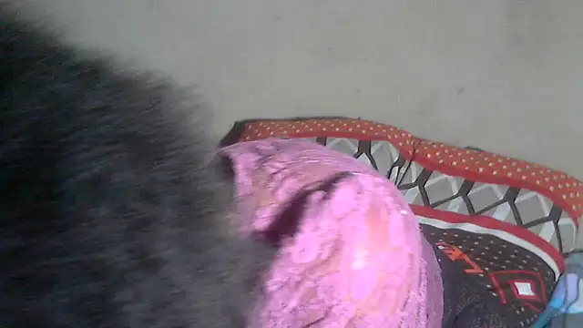 AdorableAfricanStar69 online show from November 2025 10:30:01 PM