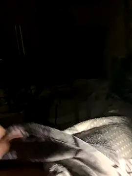 Snapshot of bfelipedasilva chatting on October 2025 11:57:01 PM bfelipedasilva online show from October 2025 11:57:01 PM