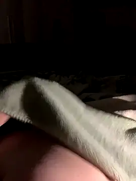 Snapshot of bfelipedasilva chatting on October 2025 01:31:01 AM bfelipedasilva online show from October 2025 01:31:01 AM