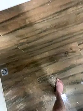 bfelipedasilva online show from December 2025 09:56:02 PM