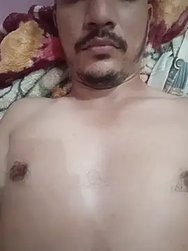 indoregigolo online show from November 2025 08:57:01 AM