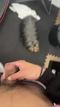 findomhot online show from November 2025 09:04:01 PM