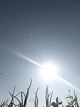 devil boy 0909 online show from March 2026 03:46:01 AM