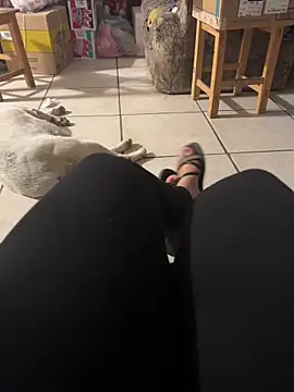 Evil kitty6 online show from December 2025 12:26:01 AM