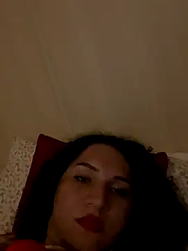 Snapshot of transnovata065 chatting on October 2025 06:53:01 PM transnovata065 online show from October 2025 06:53:01 PM