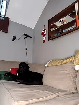 mattiethebaddieee online show from November 2025 08:35:02 PM