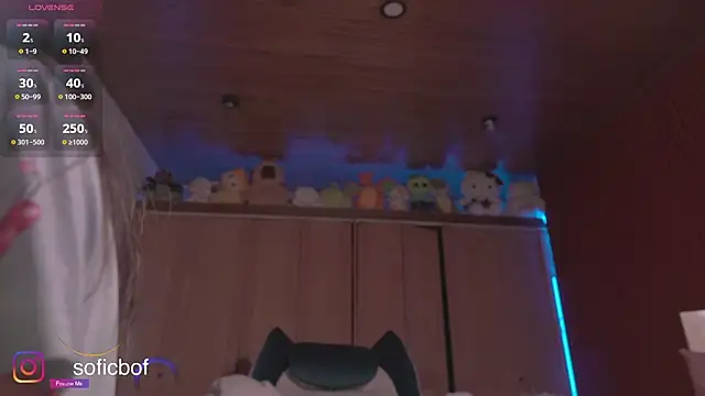 Snapshot of sofi_sc chatting on November 2025 02:26:01 PM sofi sc online show from November 2025 02:26:01 PM