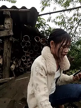 doggy-00 online show from January 2026 06:50:02 AM