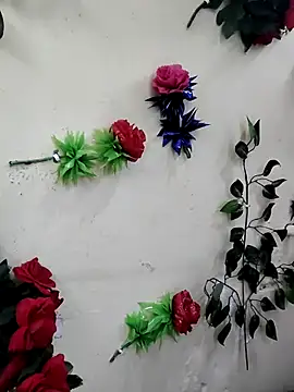 Indian-Glory online show from December 2025 07:53:02 PM