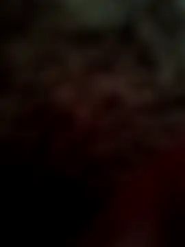 bigtelugubhama online show from February 2026 09:02:01 AM