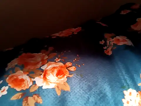 bigtelugubhama online show from February 2026 05:24:01 AM