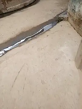 Pandey0012 online show from October 2025 02:26:01 AM