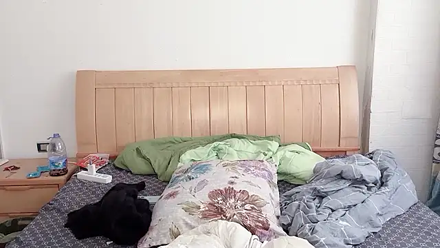 Snapshot of N228 chatting on December 2025 06:55:02 AM N228 online show from December 2025 06:55:02 AM