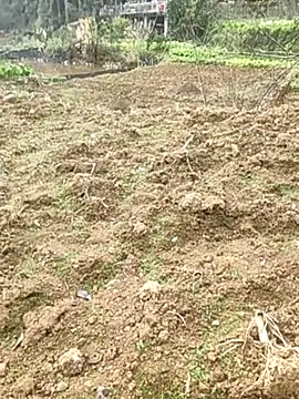 tian7788 online show from February 2026 03:03:02 AM