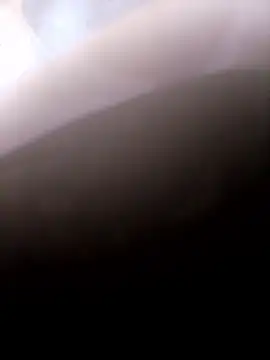 Snapshot of pino870 chatting on January 2026 09:52:02 PM pino870 online show from January 2026 09:52:02 PM