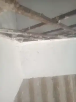 Pallu Asha online show from April 2026 12:53:01 AM