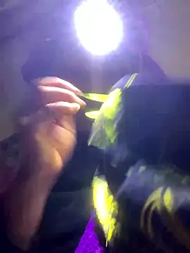 bi-bo123 online show from January 2026 02:22:01 PM