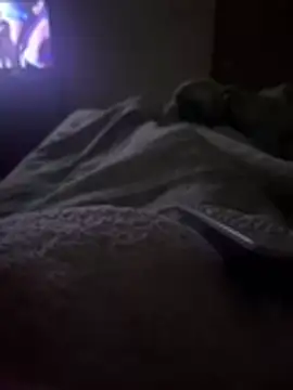 Snapshot of gatitaamelosaa7 chatting on February 2026 02:53:02 AM gatitaamelosaa7 online show from February 2026 02:53:02 AM