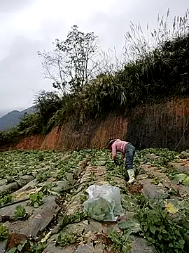 Snapshot of min_nyny chatting on November 2025 01:26:01 AM min nyny online show from November 2025 01:26:01 AM