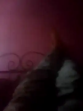 Narwindruners online show from November 2025 06:53:02 PM