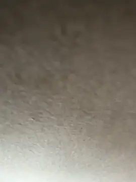 Snapshot of adamblunt59 chatting on January 2026 09:33:01 AM adamblunt59 online show from January 2026 09:33:01 AM