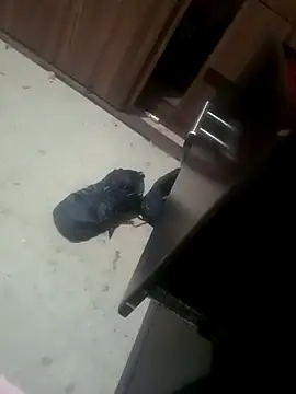 Yerackhip online show from January 2026 07:46:02 AM