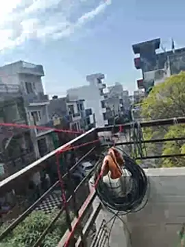 sexychd online show from December 2025 04:39:02 AM