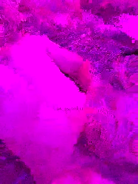 Snapshot of PitoDuroWuero chatting on November 2025 11:34:02 AM PitoDuroWuero online show from November 2025 11:34:02 AM