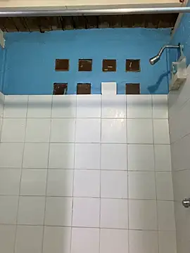 meliodas 23cm online show from December 2025 02:17:01 AM