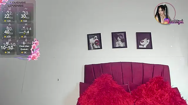 Snapshot of Scarlett_Jank chatting on February 2026 06:07:01 PM Scarlett Jank online show from February 2026 06:07:01 PM