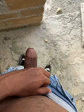 gorozcotovar online show from December 2025 02:35:02 PM